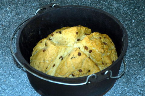 Whitsunday Crocodile Safari Including Lunch - Accommodation Mt Buller 5