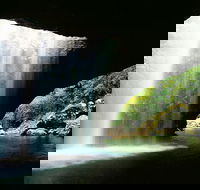 World Heritage Springbrook National Park Tour Including Natural Bridge