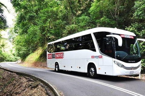 Palm Cove Departure Transfer - Palm Cove To Airport - Accommodation Mt Buller 1