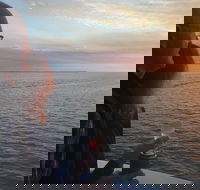 Hervey Bay Sunset Cruise - Accommodation Mt Buller