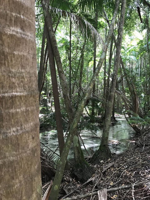 5-Day Fraser Island And Great Barrier Reef Tour - Accommodation Mt Buller 4