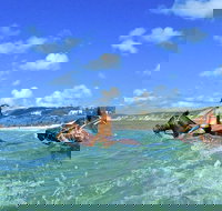 Horse Swimming Ride from Rainbow Beach - Accommodation Mt Buller