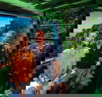 Skyrail Rainforest Cableway Day Trip from Palm Cove - Accommodation Mt Buller