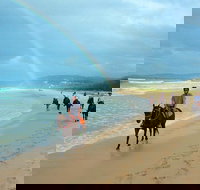 Rainbow Beach Horse Ride - Accommodation Mt Buller