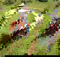 Country Day Ride from Mt Goomboorian with Rainbow Beach Horse Rides - Accommodation Mt Buller