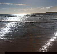 Land Based Game Fishing - Accommodation Mt Buller