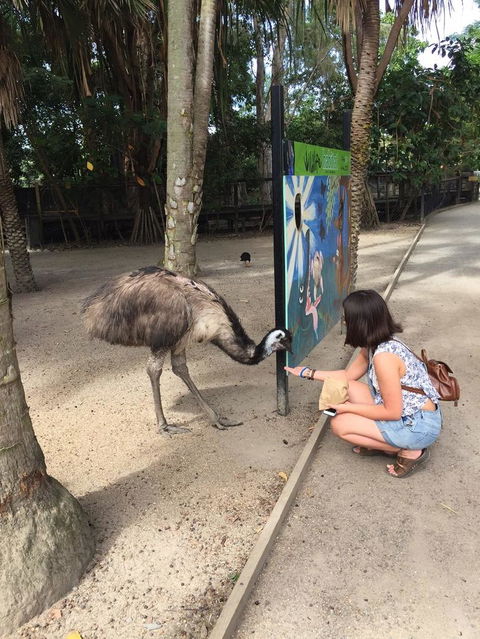 Wildlife Habitat Port Douglas - Accommodation Mt Buller 2