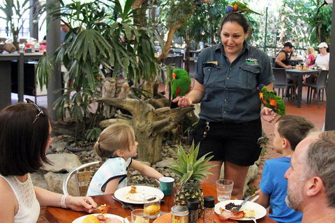 Wildlife Habitat Port Douglas - Accommodation Mt Buller 11