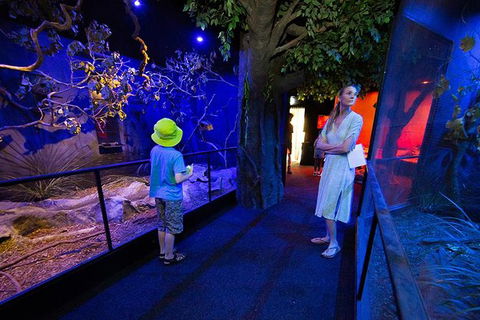 Wildlife Habitat Port Douglas - Accommodation Mt Buller 14