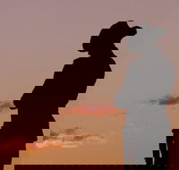 Townsville and the Australian Army Walking History Tour with Optional City Sightseeing - Accommodation Mt Buller