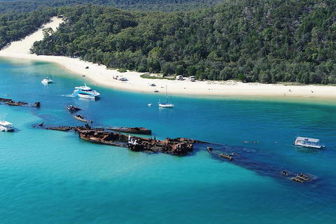 All Inclusive Dolphin And Tangalooma Wrecks Cruise Departing Gold Coast - Accommodation Mt Buller 0