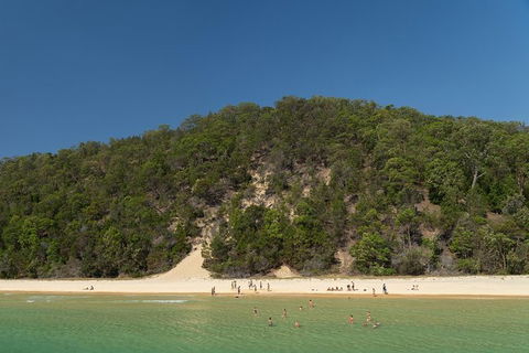 All Inclusive Dolphin And Tangalooma Wrecks Cruise Departing Gold Coast - Accommodation Mt Buller 3
