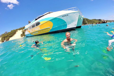 All Inclusive Dolphin And Tangalooma Wrecks Cruise Departing Gold Coast - Accommodation Mt Buller 2