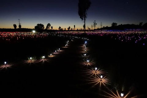 Uluru Field Of Light Sunrise Tour - Accommodation Mt Buller 2