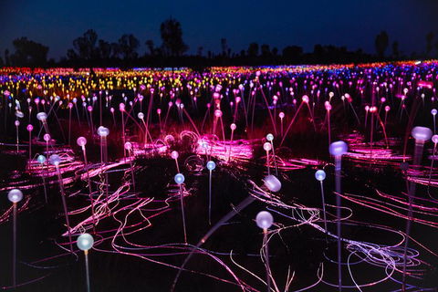 Uluru Field Of Light Sunrise Tour - Accommodation Mt Buller 1