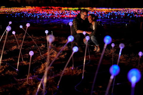 Uluru Field Of Light Sunrise Tour - Accommodation Mt Buller 6