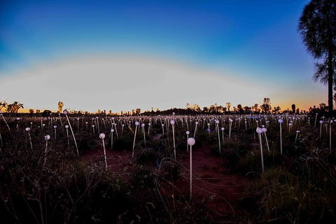 Uluru Field Of Light Sunrise Tour - Accommodation Mt Buller 8