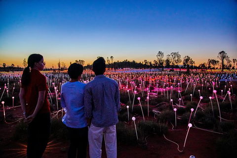 Uluru Field Of Light Sunrise Tour - Accommodation Mt Buller 5