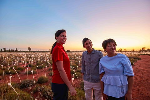 Uluru Field Of Light Sunrise Tour - Accommodation Mt Buller 11