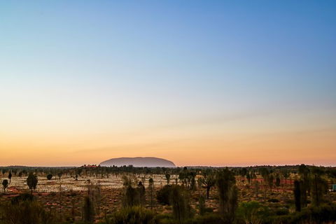 Uluru Field Of Light Sunrise Tour - Accommodation Mt Buller 12