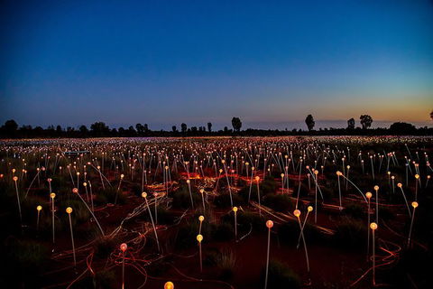 Uluru Field Of Light Sunrise Tour - Accommodation Mt Buller 7
