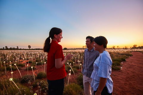 Uluru Field Of Light Sunrise Tour - Accommodation Mt Buller 9