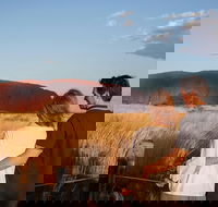 Uluru Ayers Rock Sunset with Outback Barbecue Dinner and Star Tour - Accommodation Mt Buller