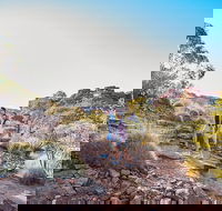 Kings Canyon Guided Rim Walk - Accommodation Mt Buller