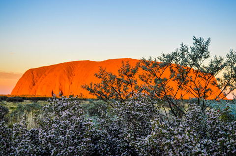 Uluru Sunrise And Kata Tjuta Half Day Trip - Accommodation Mt Buller 2