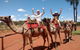 3-Day Tour From Uluru (Ayers Rock) To Alice Springs Via Kings Canyon - thumb 10