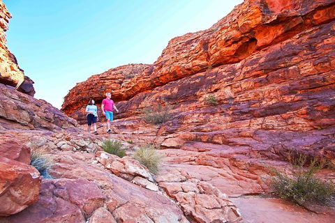 3-Day Tour From Uluru (Ayers Rock) To Alice Springs Via Kings Canyon - Accommodation Mt Buller 27