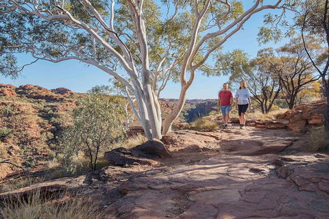 3-Day Tour From Uluru (Ayers Rock) To Alice Springs Via Kings Canyon - Accommodation Mt Buller 26