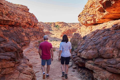 3-Day Tour From Uluru (Ayers Rock) To Alice Springs Via Kings Canyon - Accommodation Mt Buller 17