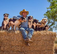 Skip-the-Line Katherine Outback Experience Show Ticket - Accommodation Mt Buller