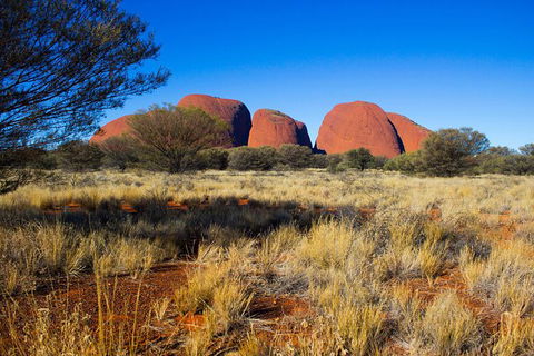 Ayers Rock 4 Tour Combo: Complete Uluru Base Walk At Sunrise, Valley Of The Winds At Sunrise, Kata Tjuta Sunset And Uluru Sunset - Accommodation Mt Buller 12