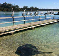 The Eurobodalla Experience Full day private tour including lunch - Accommodation Mt Buller
