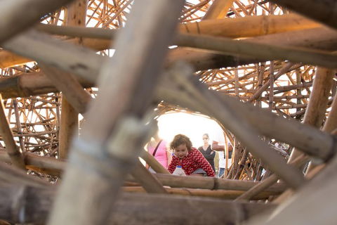 A Full Day In Sydney With A Local: Private & Personalized - Accommodation Mt Buller 5