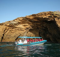 Hunter Coastal Adventure Tour by Boat from Newcastle - Accommodation Mt Buller