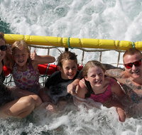 Jervis Bay Boom Netting and Dolphins Tour - Accommodation Mt Buller