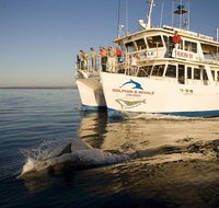 Jervis Bay Dolphin Watch Cruise - Accommodation Mt Buller
