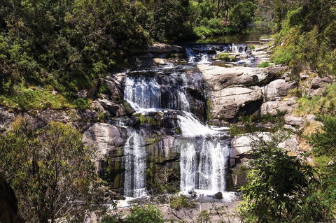 Agnes Falls Scenic Reserve - Accommodation Mt Buller 0