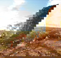 Baldy Top Lookout - Accommodation Mt Buller