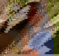 Billabong Sanctuary - Accommodation Mt Buller