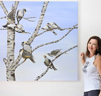 Bingara Gallery - Accommodation Mt Buller