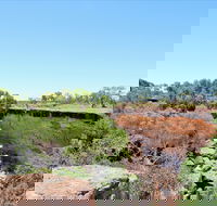 Bladensburg National Park - Accommodation Mt Buller