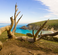 Blowhole Beach - Accommodation Mt Buller