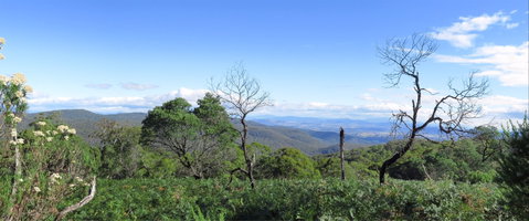 Blue Range Camping And Picnic Area - Accommodation Mt Buller 0