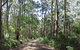Blue Range Camping And Picnic Area - thumb 2