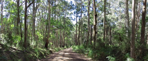 Blue Range Camping And Picnic Area - Accommodation Mt Buller 2
