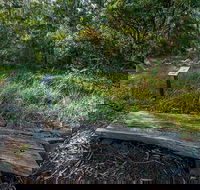 Browns Forest Loop Trail - Accommodation Mt Buller